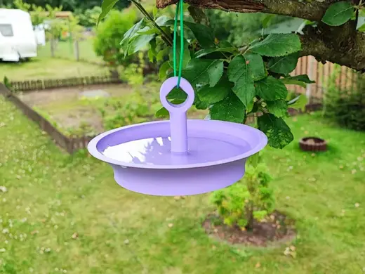 Bird Bath Insect Watering Station