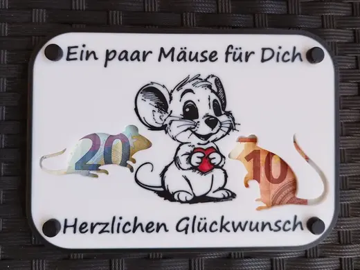 Geld Geschenk - Ein paar Mäuse