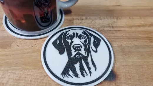 Hungarian Vizsla
